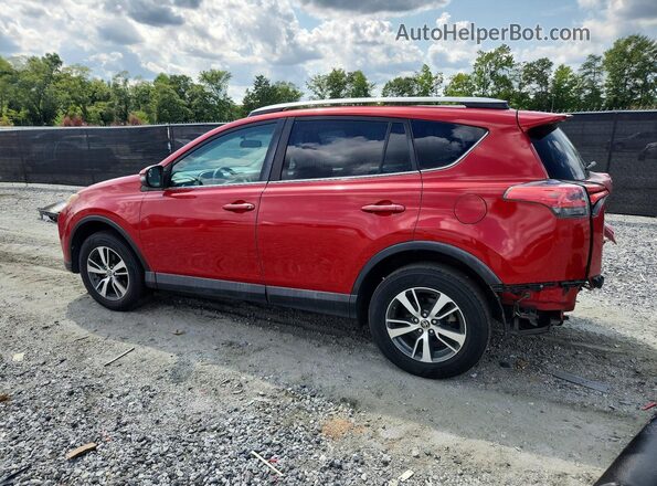 2T3WFREV4GW252695 2016 TOYOTA RAV4 Red Հետևի ձախ