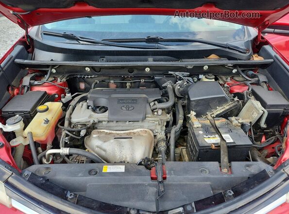 2T3WFREV4GW252695 2016 TOYOTA RAV4 Red Սալոնի հետևի տեսք