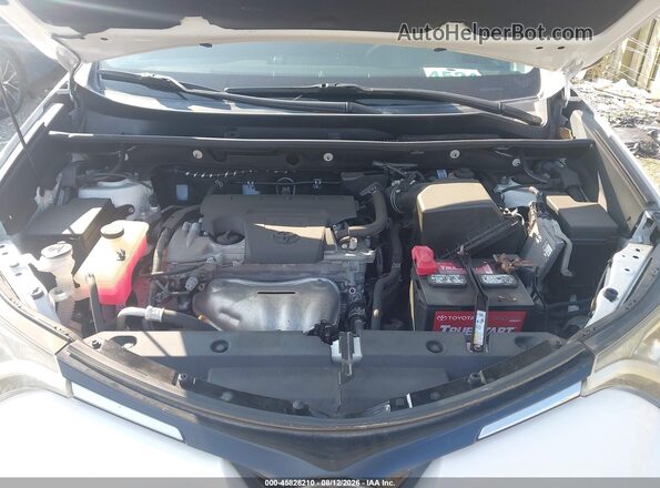 2T3WFREV4HW404864 2017 TOYOTA RAV4 White უკანა ხედი