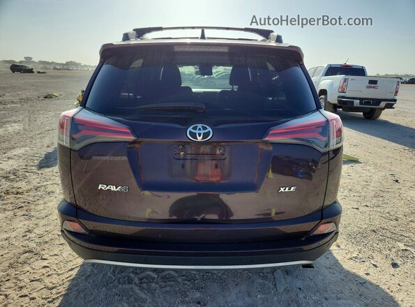 2T3WFREV5HW367890 2017 TOYOTA RAV4 Purple Հետևի տեսք