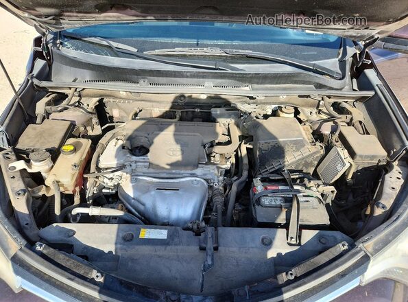 2T3WFREV5HW367890 2017 TOYOTA RAV4 Purple Սալոնի հետևի տեսք