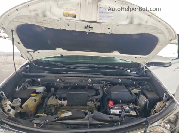 2T3WFREV5JW412638 2018 TOYOTA RAV4 Белый Вид задней части салона
