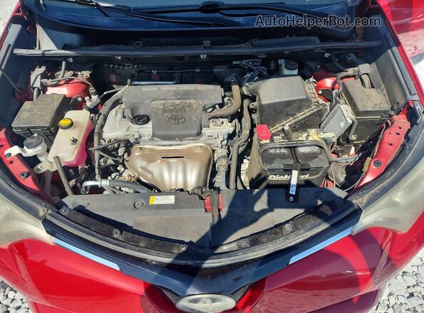 2T3WFREV6HW385492 2017 TOYOTA RAV4 Red უკანა სალონის ხედი