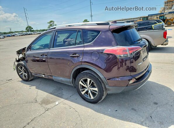 2T3WFREV7HW344837 2017 TOYOTA RAV4 Purple Հետևի ձախ