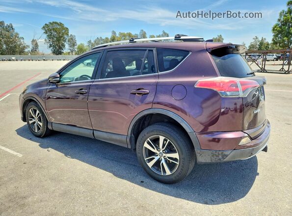 2T3WFREV8GW264171 2016 TOYOTA RAV4 Purple უკანა მარცხენა