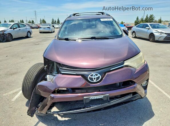 2T3WFREV8GW264171 2016 TOYOTA RAV4 Purple წინა ხედი