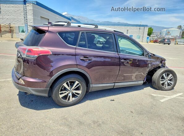 2T3WFREV8GW264171 2016 TOYOTA RAV4 Purple უკანა მარჯვენა