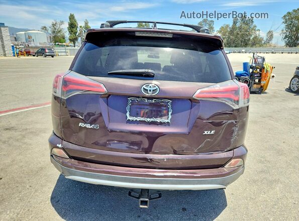 2T3WFREV8GW264171 2016 TOYOTA RAV4 Purple უკანა ხედი