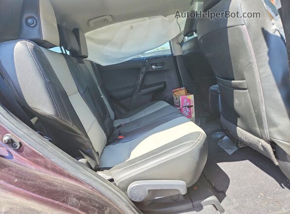2T3WFREV8HW382027 2017 TOYOTA RAV4 Purple 