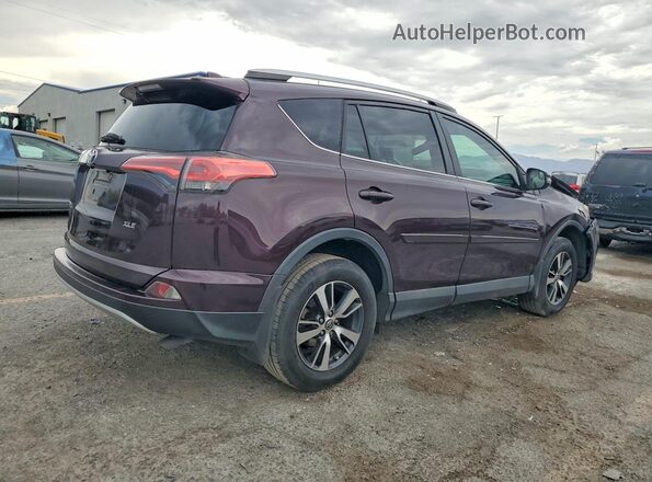 2T3WFREV9GW297129 2016 TOYOTA RAV4 Purple Tył prawy