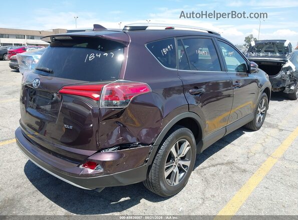 2T3WFREVXGW293400 2016 TOYOTA RAV4 Burgundy უკანა მარჯვენა