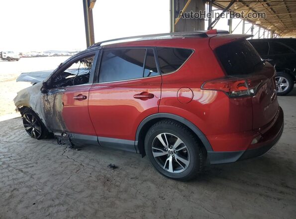 2T3WFREVXHW364998 2017 TOYOTA RAV4 Red Tył lewy