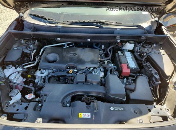 2T3Y1RFV3PW288819 2023 TOYOTA RAV4 Black Սալոնի հետևի տեսք