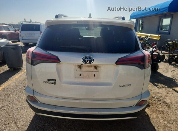 2T3YFREV0GW273780 2016 TOYOTA RAV4 White Rear view
