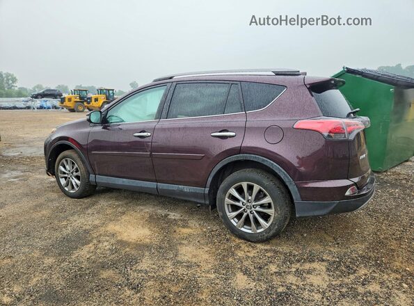 2T3YFREV6HW314365 2017 TOYOTA RAV4 Maroon Հետևի ձախ