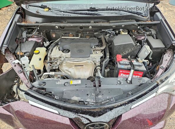 2T3YFREV6HW314365 2017 TOYOTA RAV4 Maroon Սալոնի հետևի տեսք