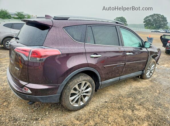 2T3YFREV6HW314365 2017 TOYOTA RAV4 Maroon Հետևի աջ