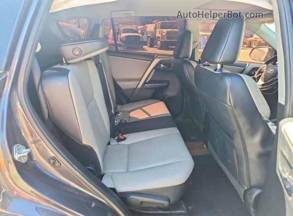 2T3YFREV7HW329084 2017 TOYOTA RAV4 Gray Widok wnętrza z tyłu