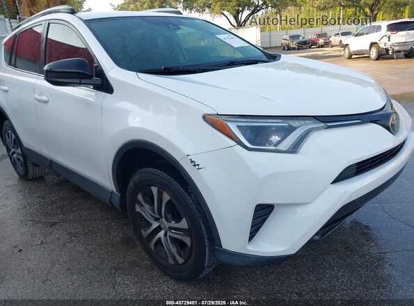 2T3ZFREV2HW315081 2017 TOYOTA RAV4 White Դիմացի տեսք