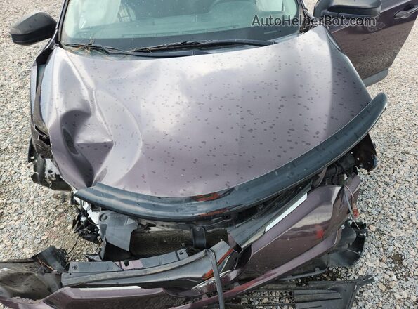 2T3ZFREV5GW266537 2016 TOYOTA RAV4 Фиолетовый Вид подкапотного пространства