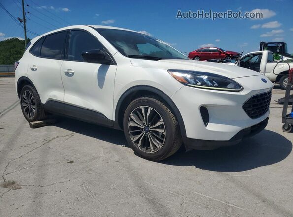 1FMCU0G66NUC00534 2022 FORD ESCAPE White Widok z przodu