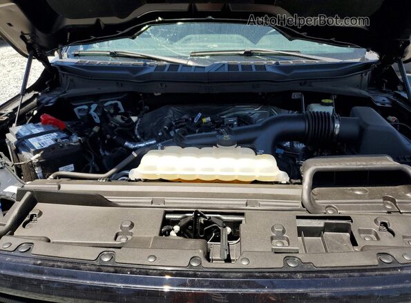 1FTEW3KP0RKF03612 2024 FORD F150 Black Vista del compartimento del motor