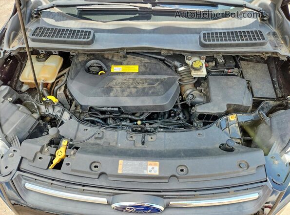 1FMCU9GXXGUC86706 2016 FORD ESCAPE Black Vista de la etiqueta del VIN