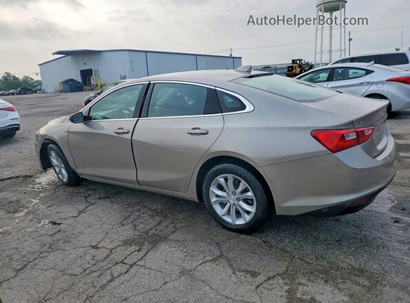 1G1ZD5ST6RF170981 2024 CHEVROLET MALIBU Gray Trasero derecho