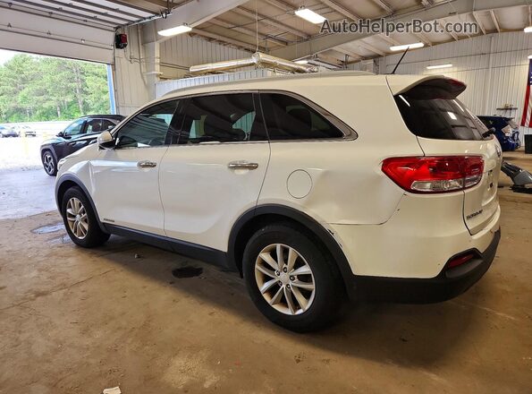 5XYPGDA54HG234367 2017 KIA SORENTO White Trasero derecho