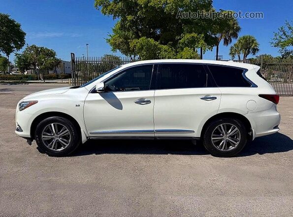 5N1DL0MN4LC547527 2020 INFINITI QX60 Белый Панорамный вид салона 360°
