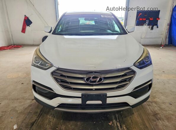 5XYZTDLB9HG441487 2017 HYUNDAI SANTA White Widok z tyłu