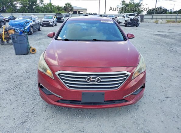 5NPE24AF0GH334195 2016 HYUNDAI SONATA Red Вид ззаду