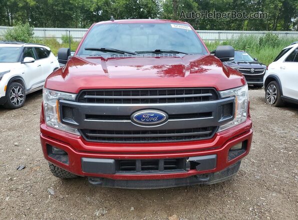 1FTEW1EP2KFB25307 2019 FORD F150 Red Հետևի տեսք