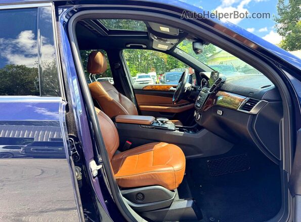 4JGDF6EE2HA815020 2017 MERCEDES-BENZ GLS-CLASS Синий Вид задней части салона