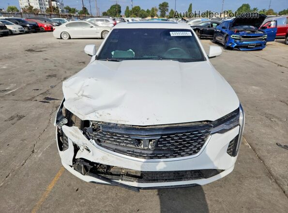 1G6DJ5RK5P0123158 2023 CADILLAC CT4 White უკანა ხედი