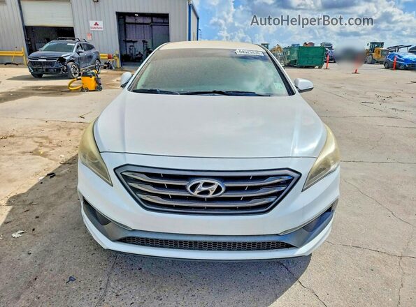 5NPE34AF0GH272858 2016 HYUNDAI SONATA White Հետևի տեսք