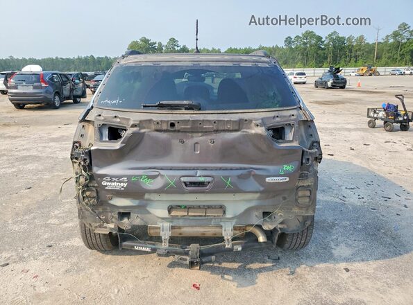 3C4NJDBB0HT674592 2017 JEEP COMPASS Gray Rear view