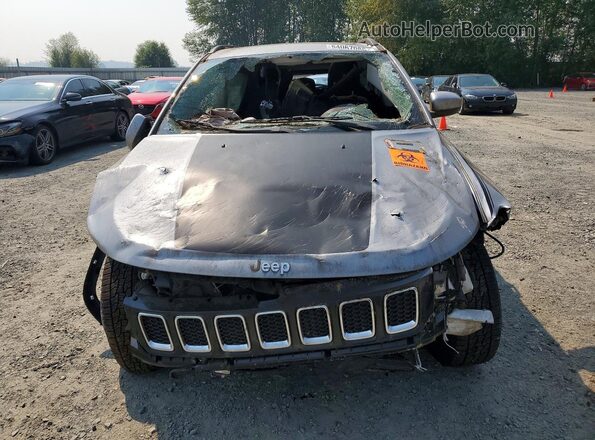 3C4NJDBB6HT597016 2017 JEEP COMPASS Silver Вид спереду