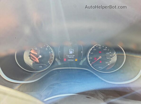 3C4NJDBBXKT776585 2019 JEEP COMPASS Белый Вид щитка приборов