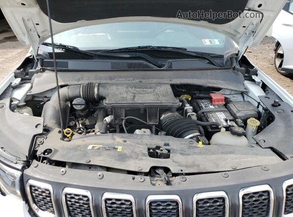 3C4NJDBN1PT561646 2023 JEEP COMPASS White 