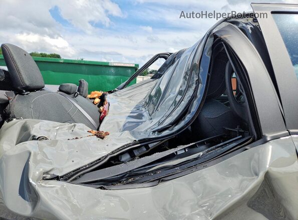 3C63R5DL9TG227571 2026 RAM 2500 Gray Вид задніх сидінь