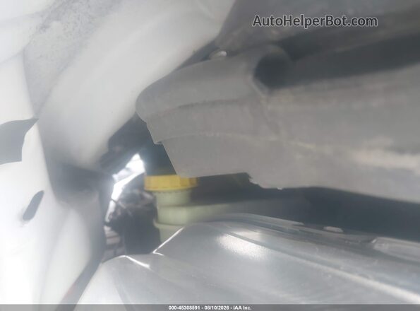 3C6LRVCG3PE551833 2023 RAM PROMASTER 2500 White Հետևի տեսք