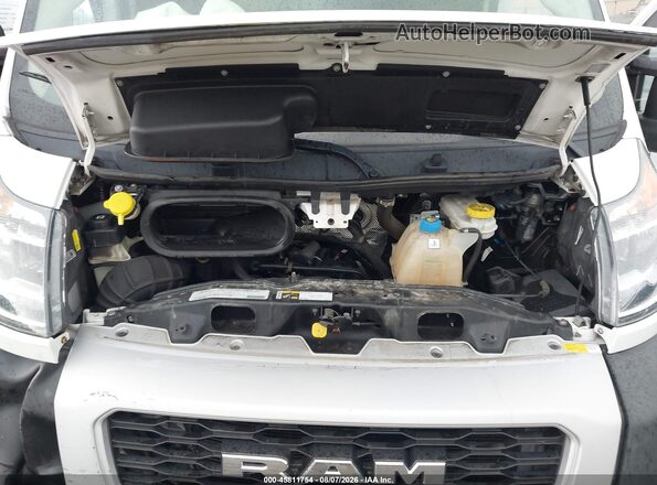 3C6TRVAG5LE115157 2020 RAM PROMASTER 1500 White Հետևի տեսք