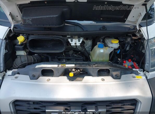 3C6TRVDG3KE502333 2019 RAM PROMASTER 2500 White Widok z tyłu