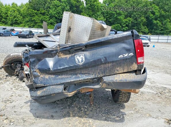 3C6UR5CJ8GG281017 2016 RAM 2500 Черный Вид сзади