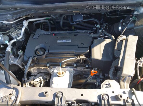 3CZRM3H33GG709498 2016 HONDA CR-V Gray Widok z tyłu