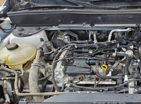 3FMCR9A6XMRA89734 2021 FORD BRONCO SPORT White Widok z tyłu