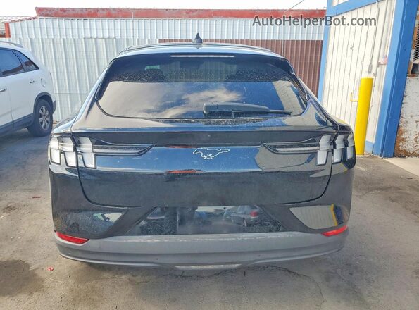 3FMTK1RM7MMA07318 2021 FORD MUSTANG Black Հետևի տեսք