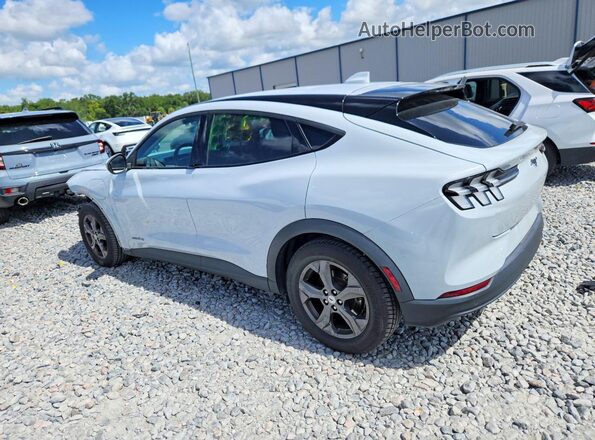 3FMTK1SS7MMA60397 2021 FORD MUSTANG Gray Tył lewy