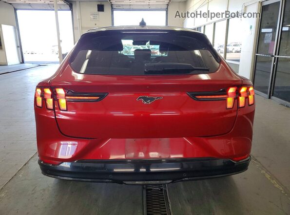 3FMTK3R75MMA03385 2021 FORD MUSTANG Red Հետևի տեսք